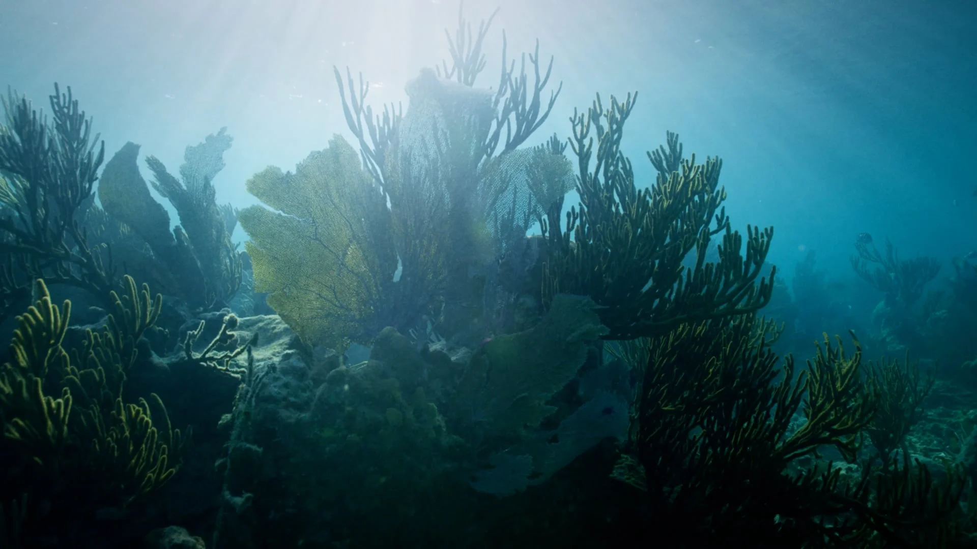 Parley for the Oceans × Belmond